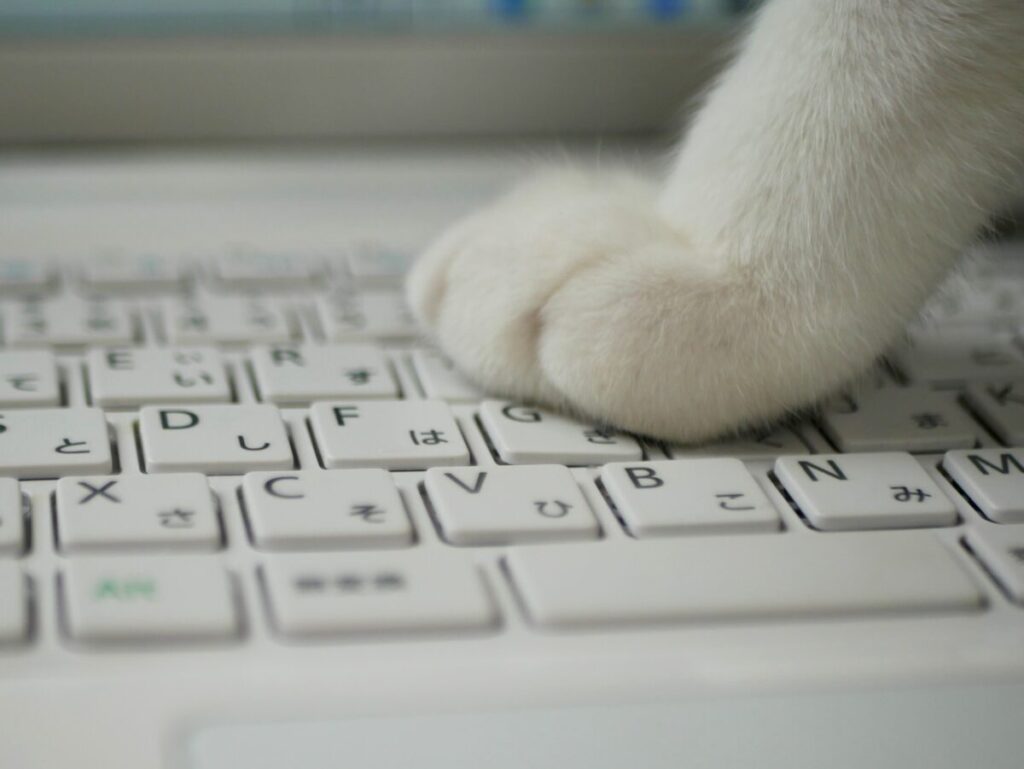 Keyboard under the CAT