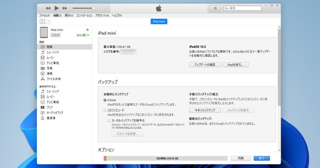 Backup iPad@iTunes