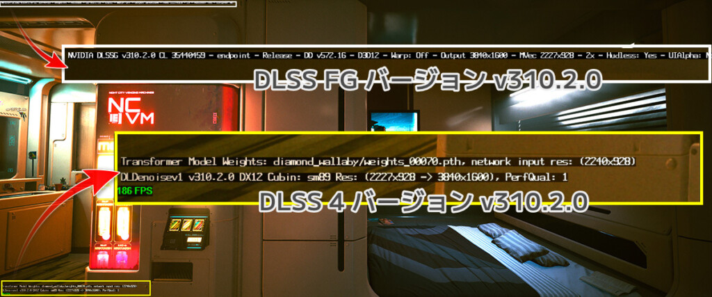 DLSS-Version-Display 04