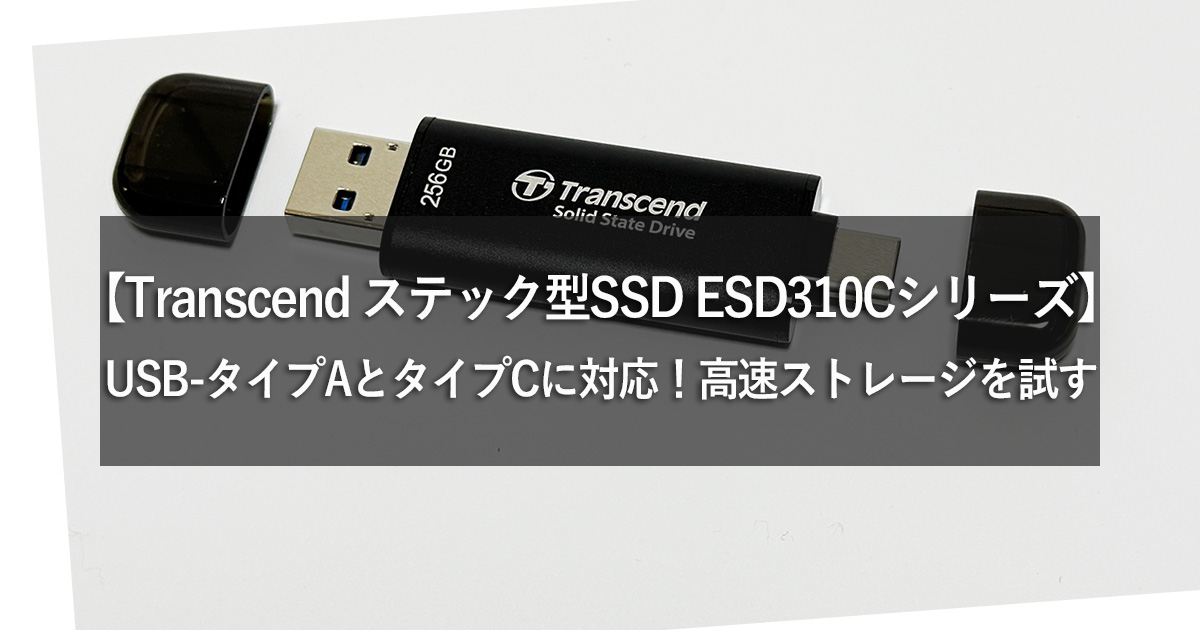 Transcend TS256GESD310C-E